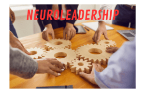 neuroleadership-abilità-ingaggio-motivazione